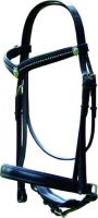 English Bridle