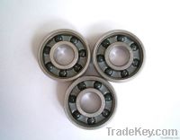 Professional Ceramic bearing