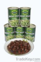 Canned Broad Beans