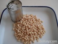 Canned White/Red Kidney Bean