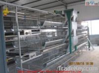 Automatic poultry equipment