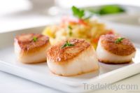 King Scallops