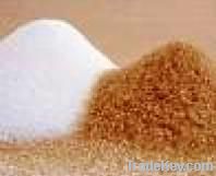 WELL PROCESSED AND REFINED ICUMSA SUGAR