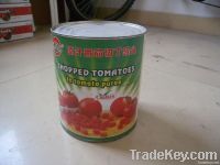 canned tomato paste 3000g