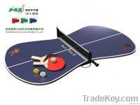 Mini Adjustable Table Tennis Equipment