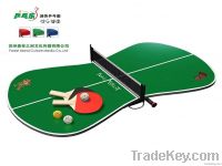 Mini Table Tennis Set
