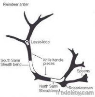 reindeer horns