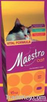 MAESTRO CAT