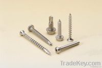 STAINLESS STEEL SELF DRILLING SCREW