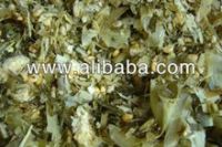 Best Quality Animal Fodder maize, Corn Silage