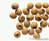 Quality Soybeans