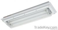 fluorescent light with Explosion proof stainless steel enclosure