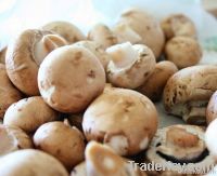 Meadow Mushrooms Thinly Sliced with Oil, Garlic & Parsley