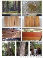 teak wood logs