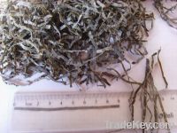 cut dried kelp 1