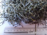 cut dried kelp 3