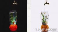 fish tank