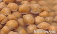 400g Canned chick peas in brine