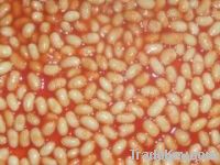 Canned White Kidney Beans in Tomato Sauce