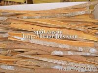 Manufacture split cassia from Viet Nam