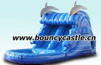 Double Lane Blue Water Slide With Cute Dolphin