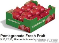 Pomegranate Fresh Fruit