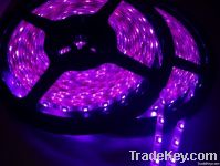 led strip light with factory price