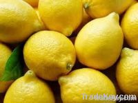 Lemon (Fresh South African Lemon)