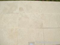 Travertine Tile (B-1 & B-stn))