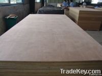 Container flooring plywood