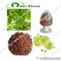 Grape seed extract