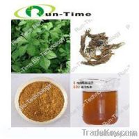 Siberian Ginseng P.E.-Eleutherosides B+E 0.8%, 1%