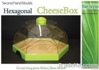 Cheese Box - Bowl