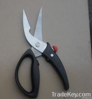 Kitchen Shear