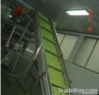lettuce industrial conveyor dryer