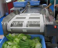 broccoli pretreatment production line