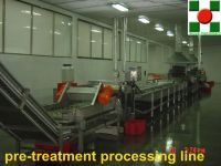 Type TX-II vegetable pretreatment blancing processing line
