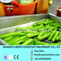 fruit&vegetable pretreatment processing equipment