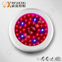 HOT Sale! UFO LED Grow Light 50W with CE and Rohs