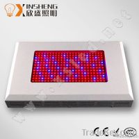 high power 600w led grow light