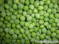 Green Peas