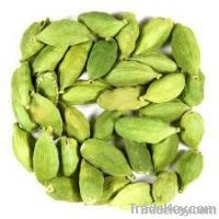 Cardamom small