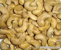 Raw Cashew Nuts & Roasted Cashew Nuts | Dried Fruits | W240 Cashew Nuts Suppliers | W320 Cashew Nut Exporters |Buy  WW230 Cashew Nut