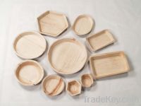 areca plates (rectangle)