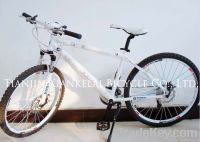 26&#039;&#039; 24Speed mountain bike