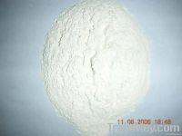 Caustic calcined magnesite powder