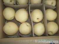 https://fr.tradekey.com/product_view/2011-Stored-Fresh-Ya-Pear-2082960.html