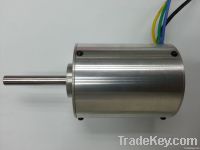 220V  brushless  motor