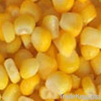yellowm corn