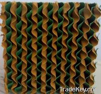coloring wet curtain